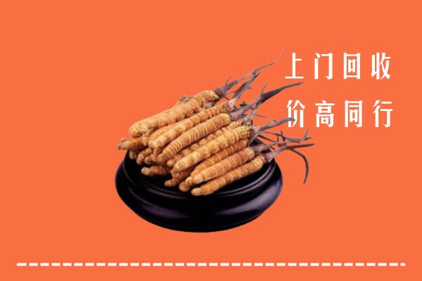高价求购：海南省保亭回收散虫草