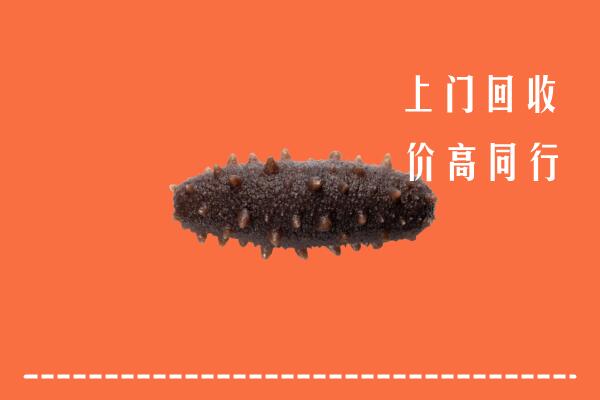 高价求购：海南省保亭回收海参