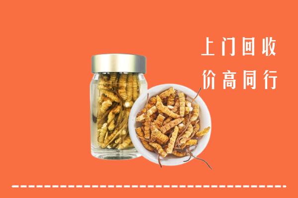 海南省保亭回收冬虫夏草